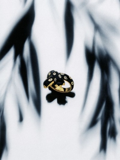 Fred - Jewelry
