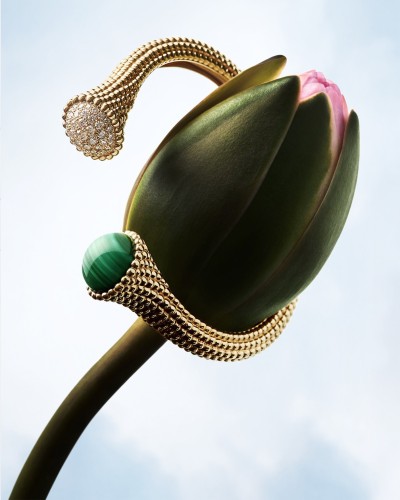 Van Cleef & Arpels – Lilly Marthe Ebener